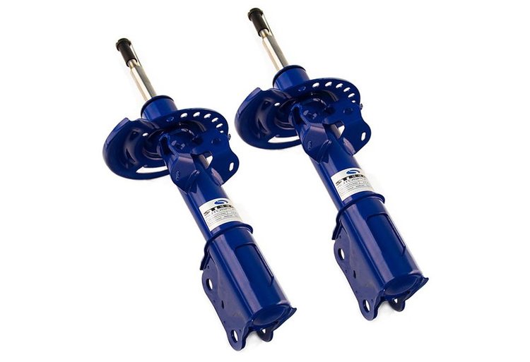 PRO ACTION FRONT STRUTS