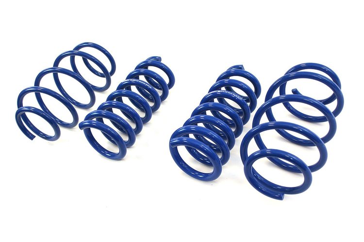 EXPLORE LOWERING SPRINGS