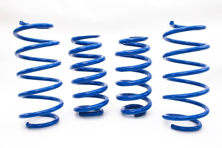 EXPLORER LOWERING SPRINGS