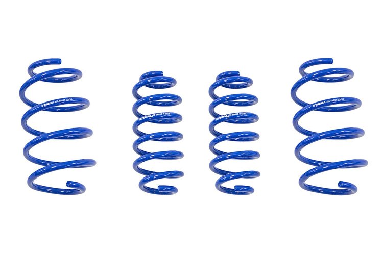 ESCAPE LOWERING SPRINGS