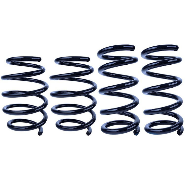 Steeda Sport Springs