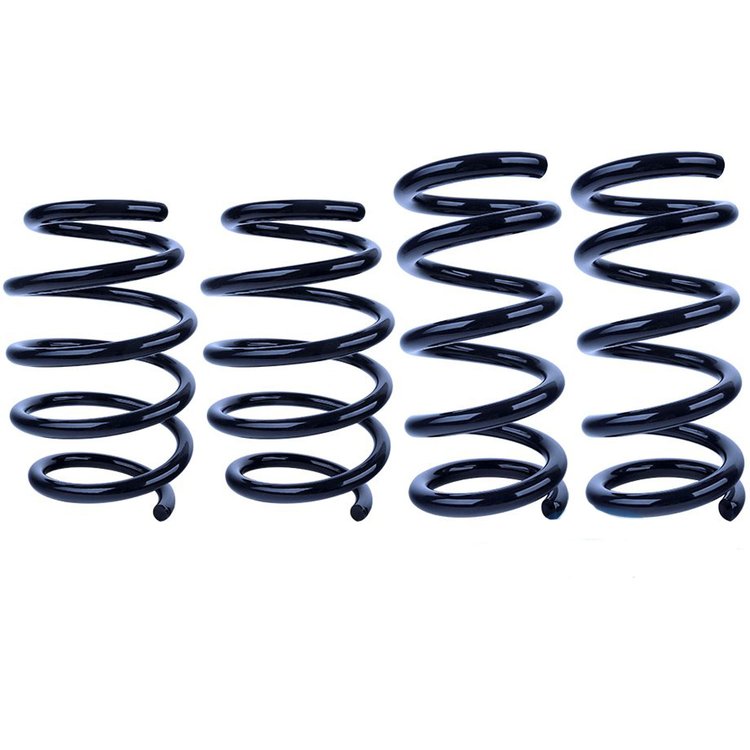 Steeda Sport Springs