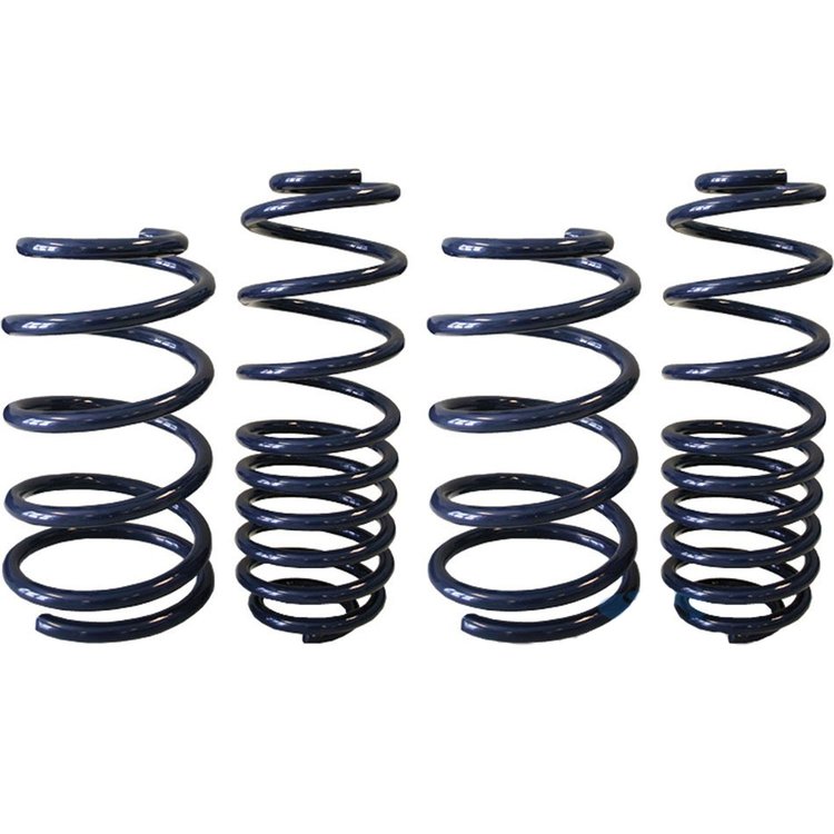 GT500 Sport Springs 07-08 Convertible only