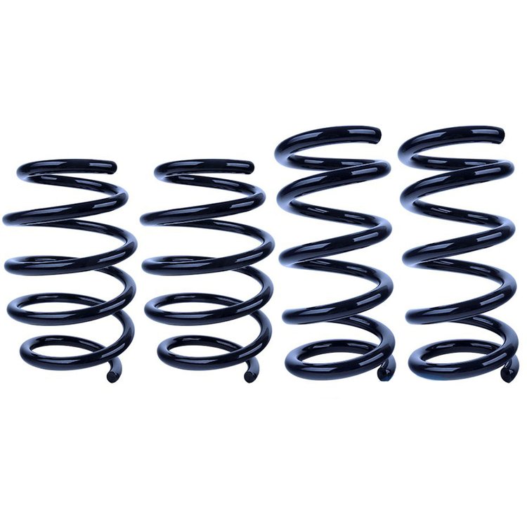 Steeda Ultra-Lite Springs