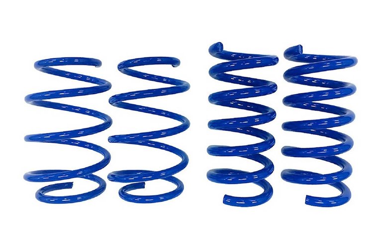 S550 LOWERING SPRINGS