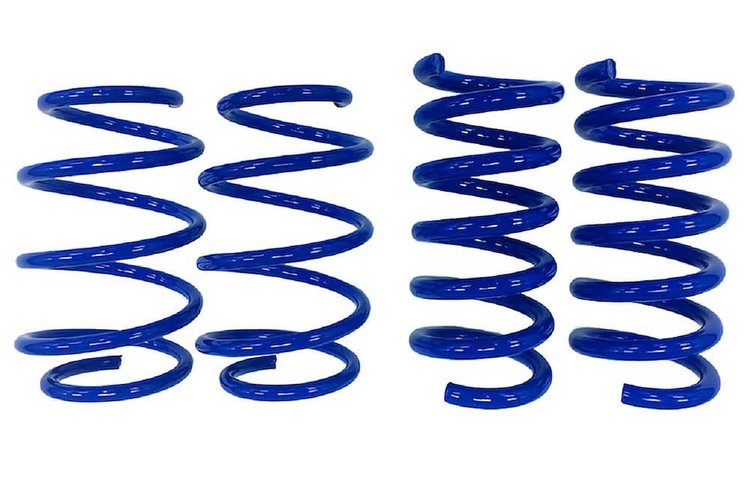 S550 MUSTANG DRAG SPRINGS