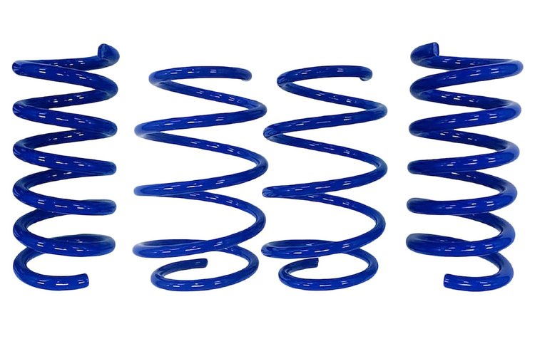 MUSTANG GT DRAG SPRINGS