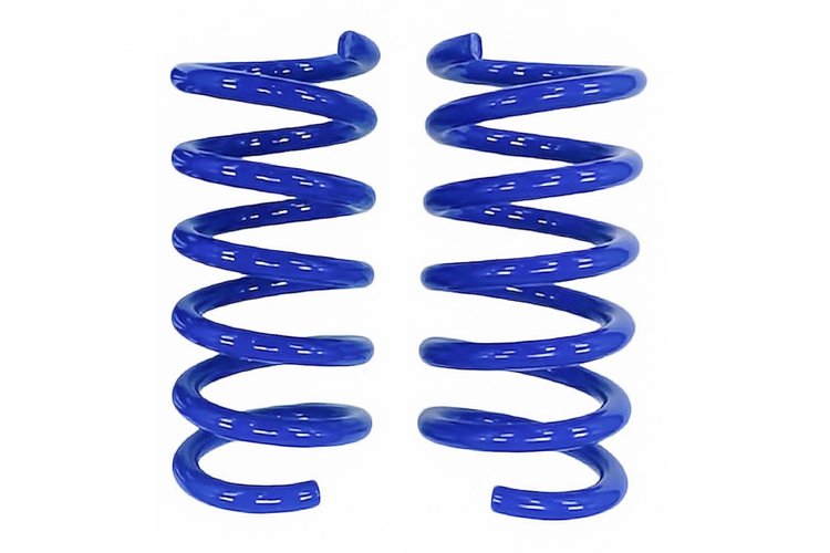 MUSTANG GT DRAG SPRINGS