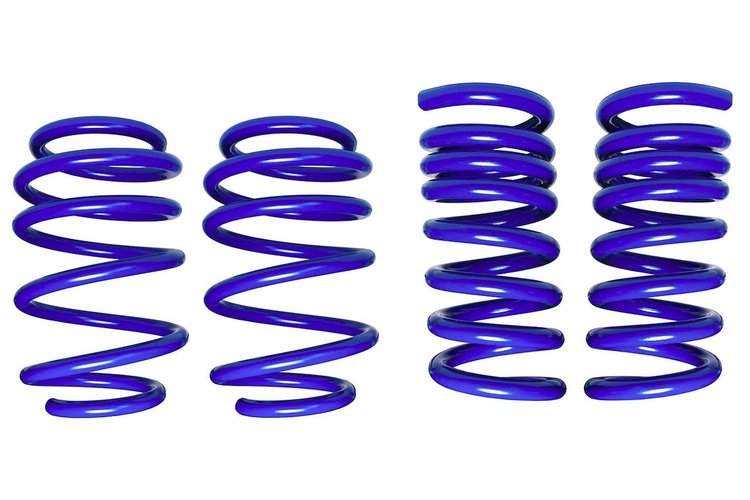 S550 MAGNERIDE SPRINGS