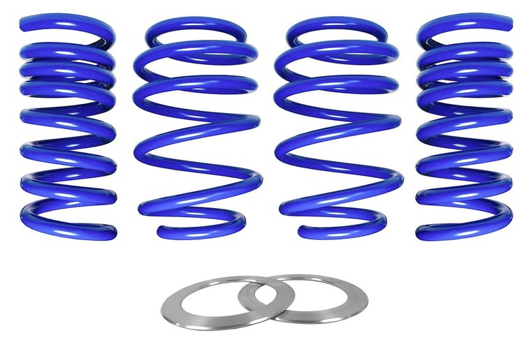 GT500 LOWERING SPRINGS