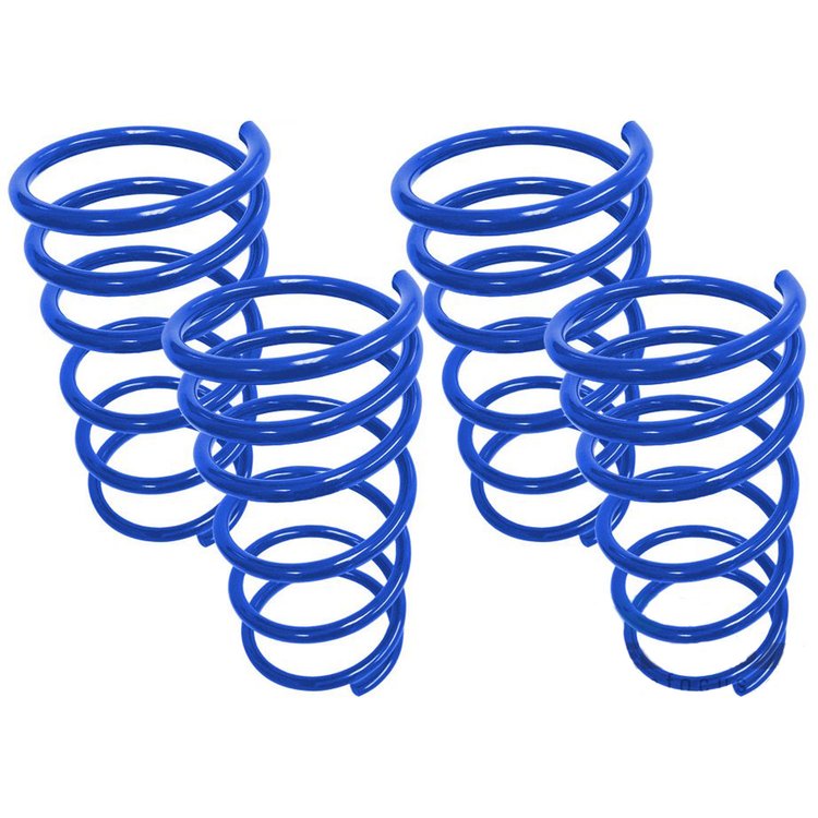 Steeda Lowering Springs