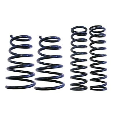 SPORT SUSPENTION SPRINGS