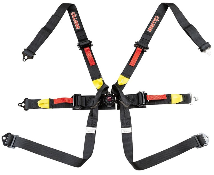6-Point Seat Harness w/2 in. Pull Down Belts & Quick-Release Cam Lock System