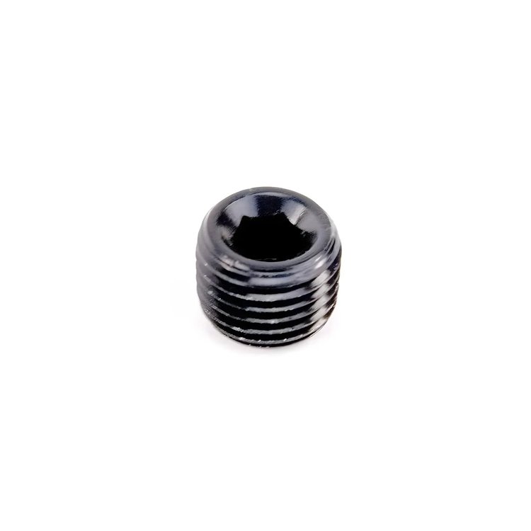 00-01003 1/4 in. NPT Hex Plug, Black