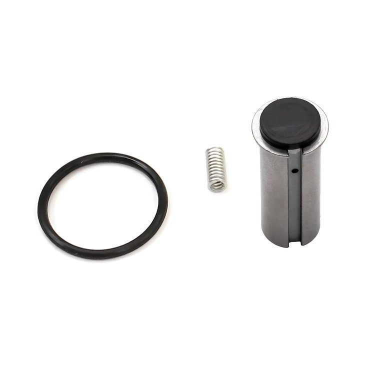 00-50006-RK .310 Fuel Solenoid Rebuild Kit, Piston/Spring/O-ring