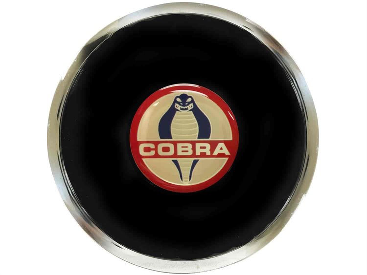 HORN BUTTON