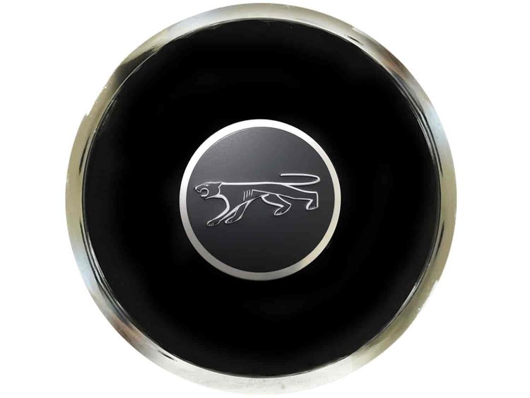 HORN BUTTON