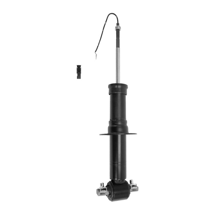 Strut Assembly