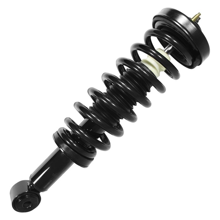 11206 Pre-Assembled Complete Strut Assembly Fits Select Ford F-150, Lincoln Mark LT [Front]