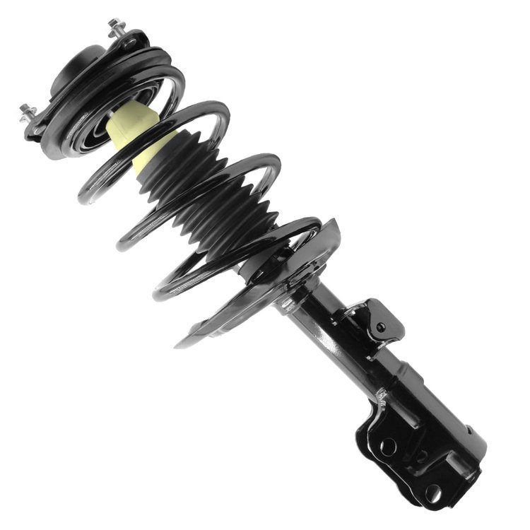 Complete Strut Assembly