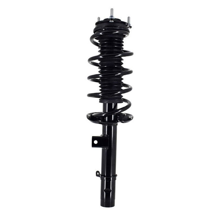 Complete Strut Assembly