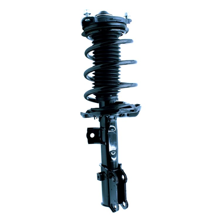 Complete Strut Assembly