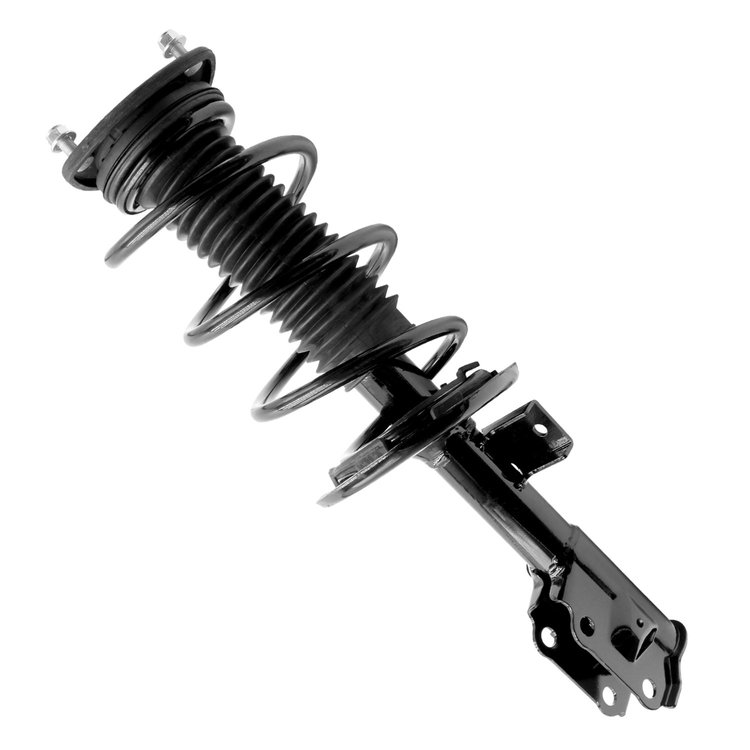 Complete Strut Assembly
