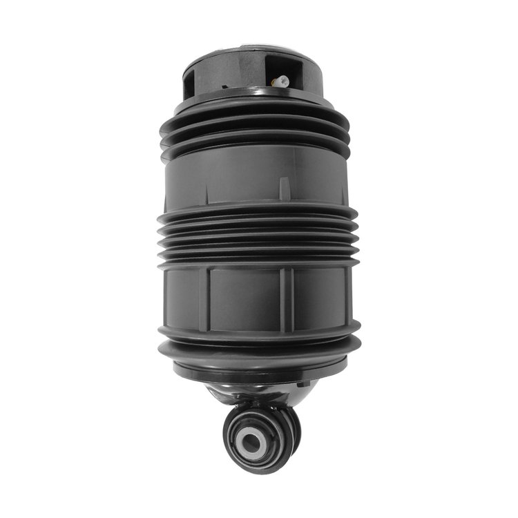 Air Spring