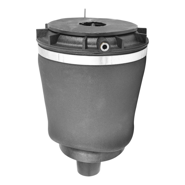 15-540801 Suspension Air Spring, Rear, Left Fits Select Cadillac DTS [Rear Left]