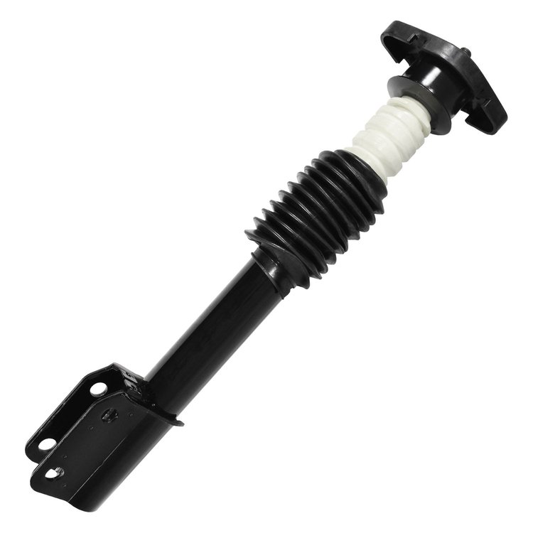 15020 Suspension Strut & Coil Spring Assembly Fits Select GM [Rear]