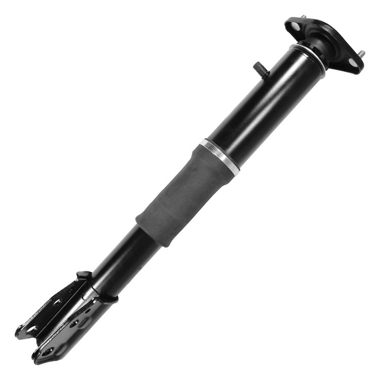 15300 Air Suspension Strut Assembly Fits Select GM [Rear]