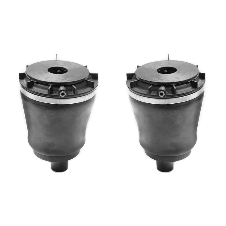 2-15-540801-15-540802 Rear Suspension Air Spring Set Fits Select Cadillac DTS [Rear]