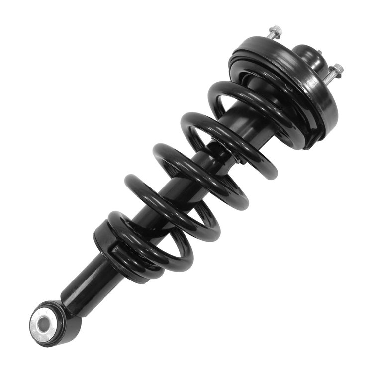 16030 Suspension Strut & Coil Spring Assembly Fits Select Ford/Lincoln [Rear]