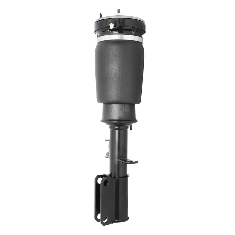 18-125001 Air Suspension Strut Assembly Fits Select BMW X5 [Front Left]