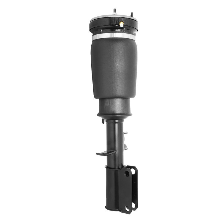 18-125002 Air Suspension Strut Assembly Fits Select BMW X5 [Front Right]