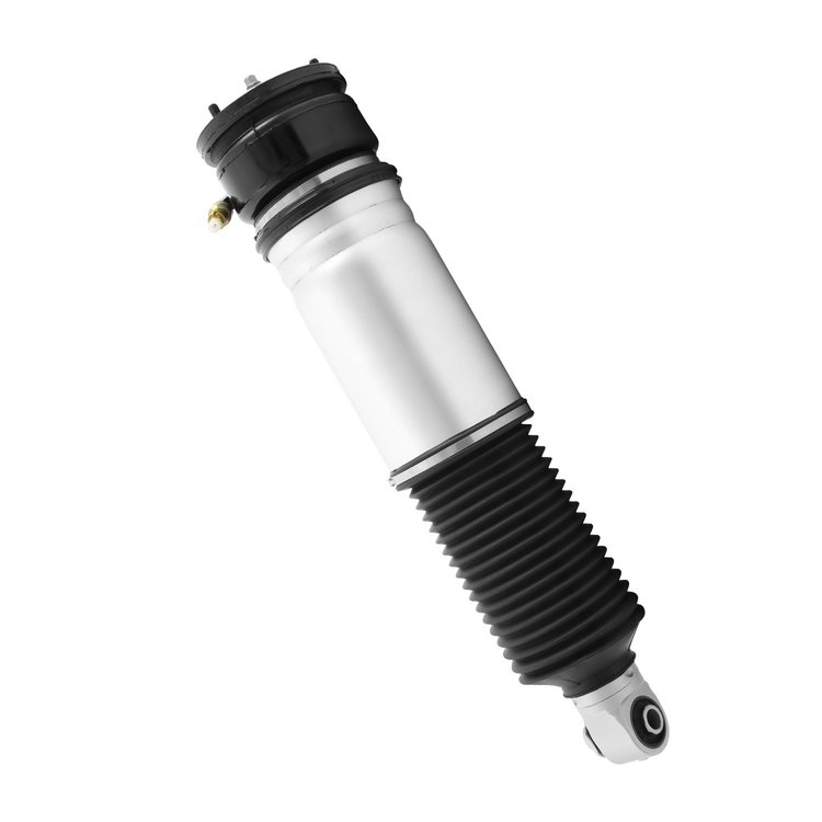 18-527001 Air Suspension Strut Assembly Fits Select BMW 745i, BMW 745Li, BMW 760Li, BMW 760i, BMW 750Li, BMW 750i [Rear Left]