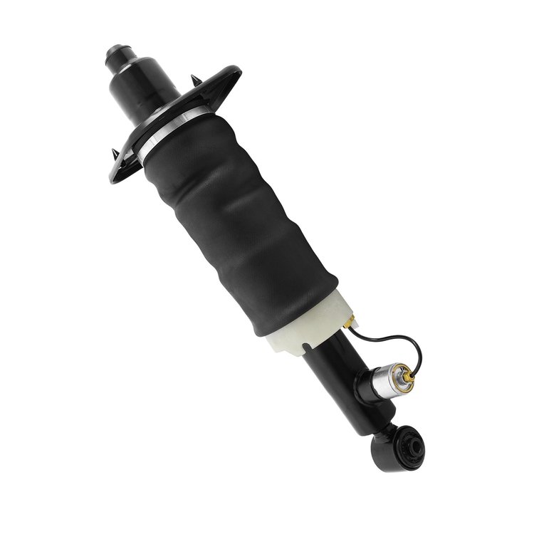18-529902 Air Suspension Strut Assembly Fits Select Audi Allroad Quattro [Rear Right]