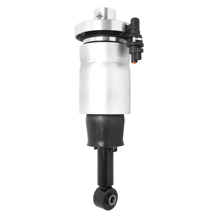 18-561001 Air Suspension Strut Assembly Fits Select Ford Expedition, Lincoln Navigator [Rear Left]