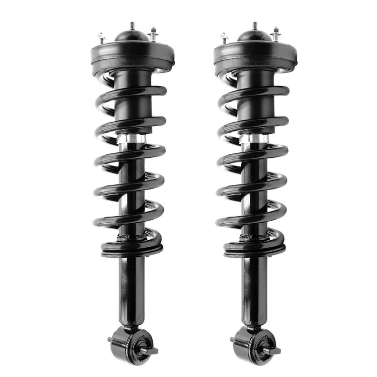 2-13050-001 Complete Strut Assembly Fits Select Ford Expedition, Lincoln Navigator [Front]