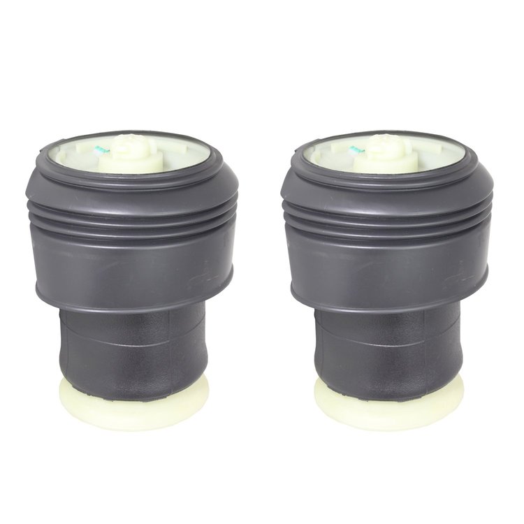 2-15-525100 Rear Suspension Air Spring Set Fits Select BMW X5, BMW X6 [Rear]