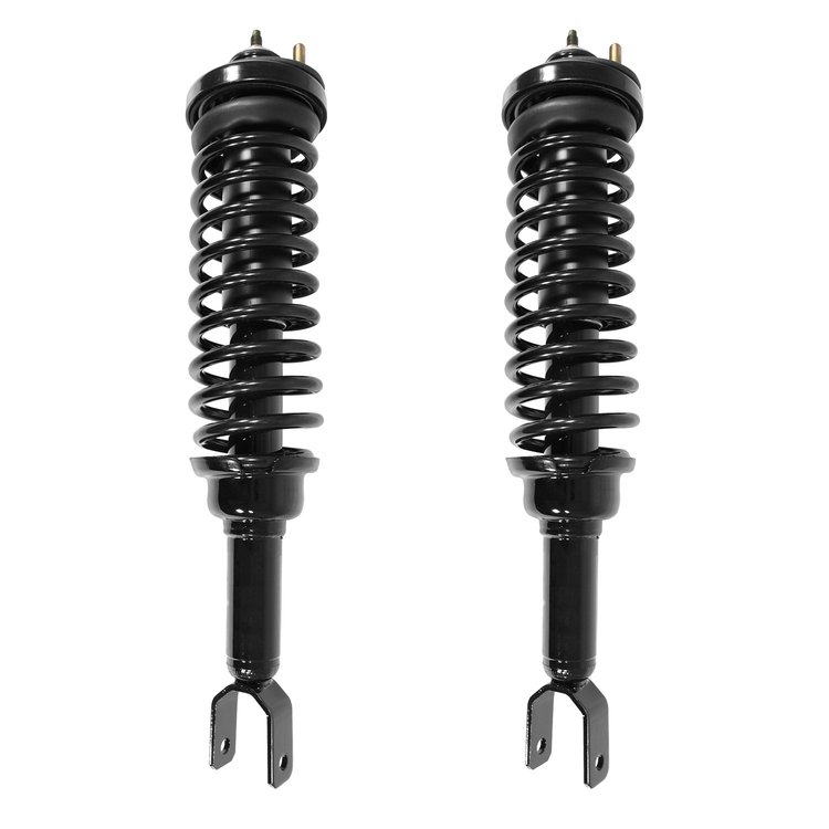 2-15220-001 Suspension Strut & Coil Spring Assembly Set Fits Select Acura EL, Honda Civic [Rear]