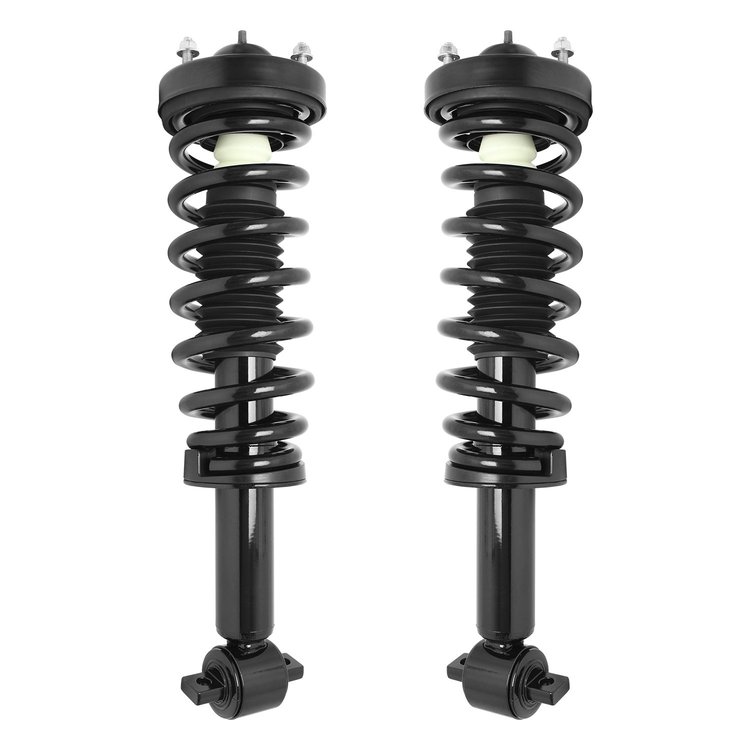 2-11263-11264-001 Suspension Strut & Coil Spring Assembly Set Fits Select Ford F-150 [Front]