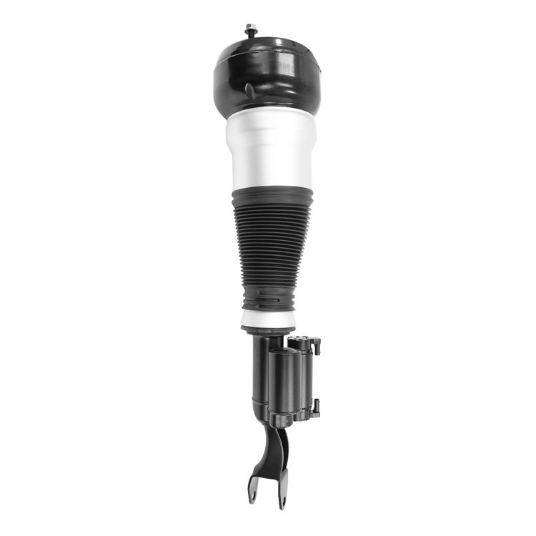 Electronic Air Strut Asse