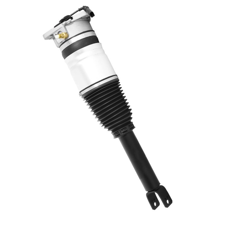 28-535001 Air Suspension Strut Assembly Fits Select Bentley Continental, Bentley Flying Spur, Volkswagen Phaeton [Rear Left]