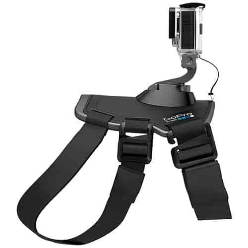 Fetch Dog Harness