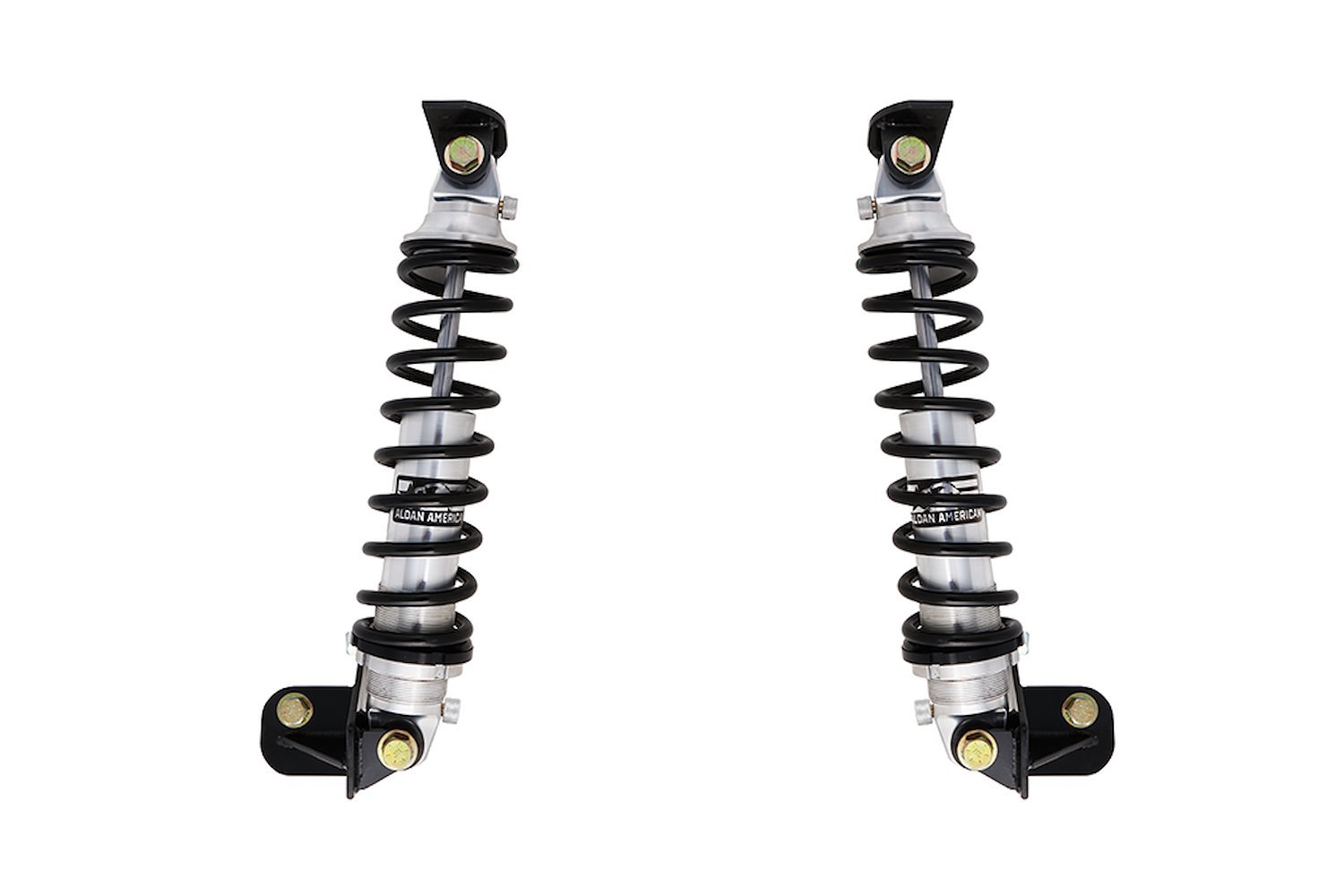 Rear Coilover Kit for 1978-1988 GM G-Body 160lbs.Springs