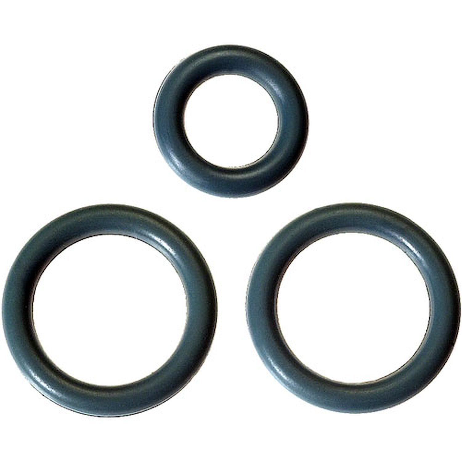 17113552 Fuel Injection Fuel Rail O-Ring Kit