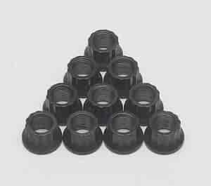 Black Oxide 12-Point Nuts 9/16" -18