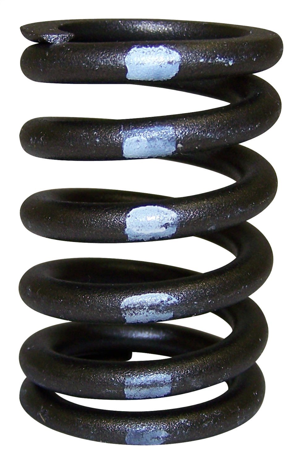 Valve Spring