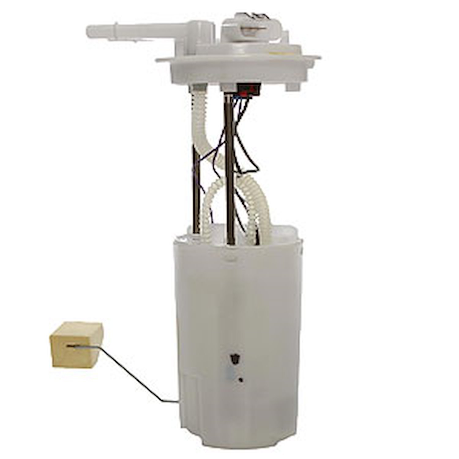 Fuel Pump Module Assembly